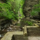 Upper Gorge